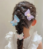 Butterfly Wings Hair Clips